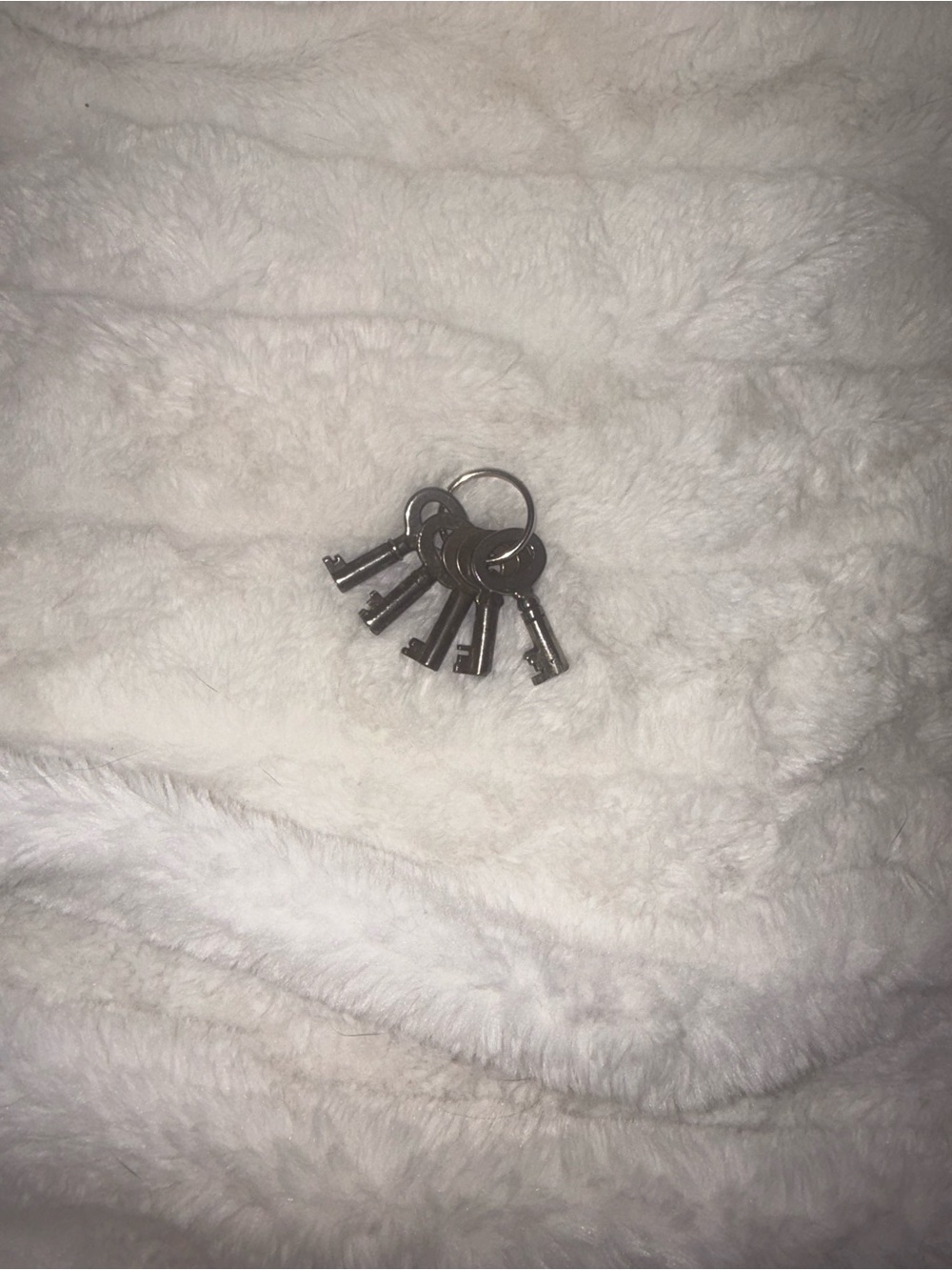 Louis Vuitton Vintage-Style Silver Skeleton Keys for Trunks on Ring - Set of 5